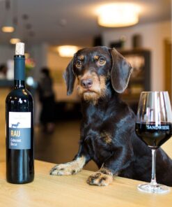 Sandwiese Wein RAU Cabernet Dorsa, trocken Sandwiese Wein aus Rheinhessen Dackelwein