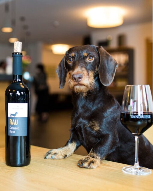 Sandwiese Wein RAU Cabernet Dorsa, trocken Sandwiese Wein aus Rheinhessen Dackelwein