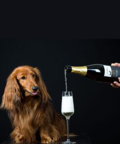 Sekt Champagner Dackelsekt Sandwiesewein aus Rheinhessen, Dackelwein, Rheinhessenwein, Deutscher Wein