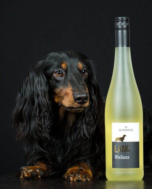 Sandwiese Wein LANG WieSecco Sandwiesewein aus Rheinhessen, Dackelwein, Rheinhessenwein, Deutscher Wein