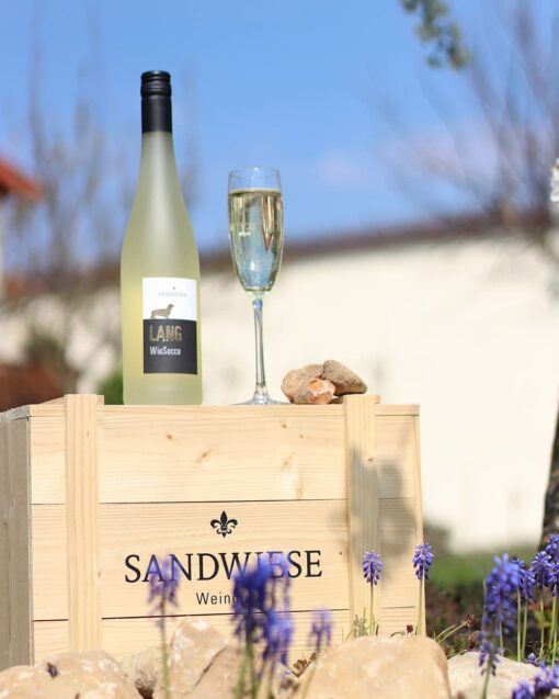 Sandwiese Wein LANG WieSecco Sandwiesewein aus Rheinhessen, Dackelwein, Rheinhessenwein, Deutscher Wein