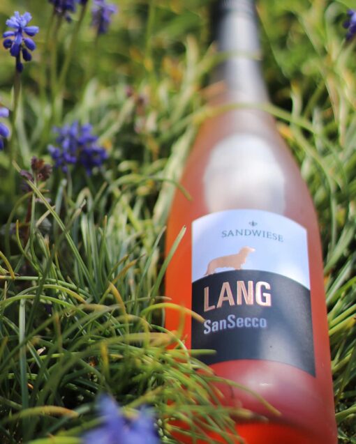 Sandwiese Wein LANG SanSecco Sandwiesewein aus Rheinhessen, Dackelwein, Rheinhessenwein, Deutscher Wein