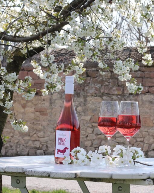 PINK TECKEL, Cuvée Rosé - 2023er #50 – Bild 4