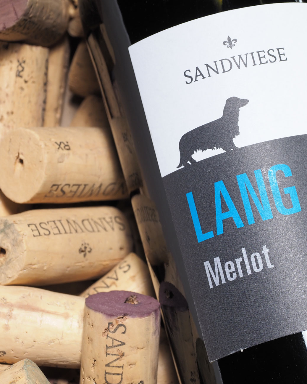 2022er Sandwiese – #8 trocken – Merlot, Weingut