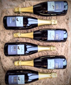 Alternative view of Der Knaller #8006